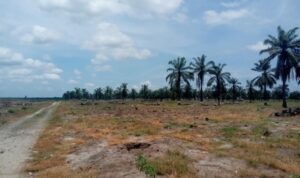 Screenshot_20250908-210200_1