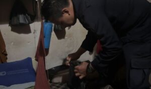 IMG-20251201-WA0044(1)