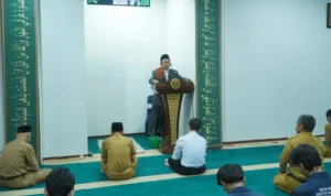 jnvxs98oo0c8w84o40woc