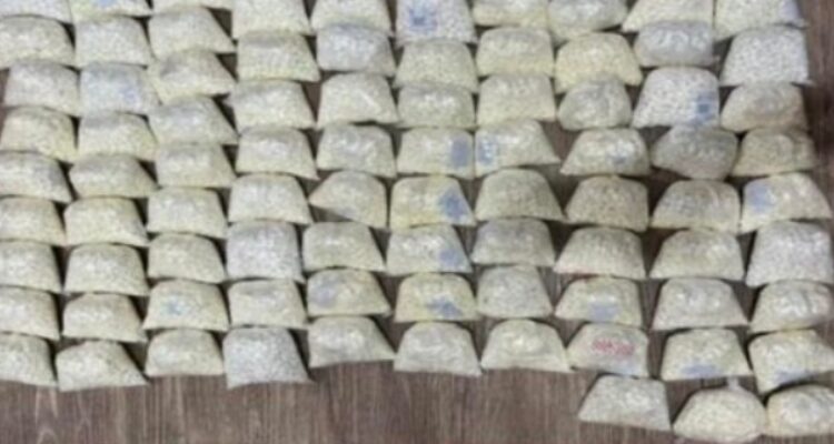 Polres Pasuruan mengamankan pengedar dan ratusan ribu butir pil double L dalam penggerebekan di Sukorejo