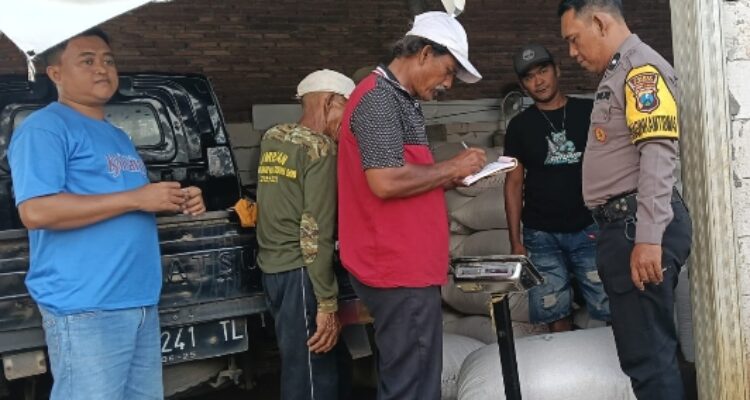 Petugas Bulog Pasuruan dan personel Polsek Sukorejo mendampingi penyerapan hasil panen jagung petani di Desa Kenduruan.
