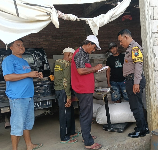 Petugas Bulog Pasuruan dan personel Polsek Sukorejo mendampingi penyerapan hasil panen jagung petani di Desa Kenduruan.