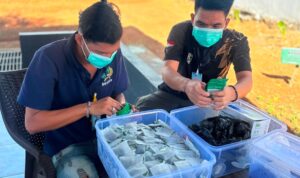 IMG-20260821-WA0041